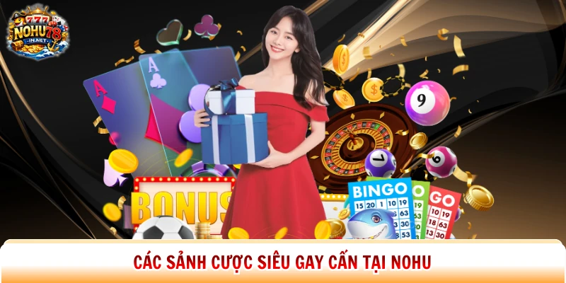Các sảnh cược siêu gay cấn tại Nohu